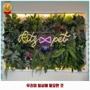 숑사탕 | 동문동 애견카페 리츠펫 서산 호수공원점 리뷰와 주차, 예약, 1순위 바로 이 곳입니다.