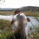 (주)보성 이미지