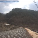 일월초등학교(청기분교) 이미지