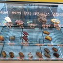 써니당