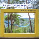 시티카아트 | 원주 소금산 출렁다리 케이블카 그랜드밸리 코스 시간
