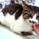 인수당약국 이미지