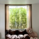 여기광암 이미지