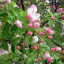 검바위약수터 이미지