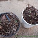 외기농장 이미지