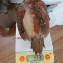 여무시농장 이미지