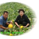 철수농장 이미지