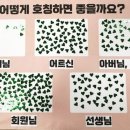 실버클럽경로당 이미지