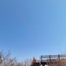 심청떡