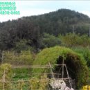 내서읍724 이미지