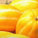 가은농장 이미지