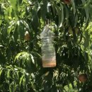 오뚜기 농장 이미지