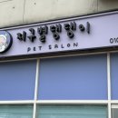 지구별댕댕이 이미지