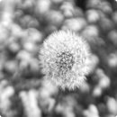 디저트요리 이미지