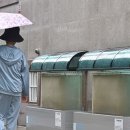 주말 지나면 장마 종료… 전국에 ‘폭염’ 이미지