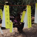 북구청 앞 광장 이미지