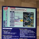 상주보자전거민박