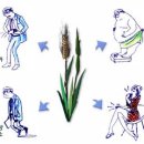 구라산성 이미지