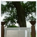 영암읍성B 이미지