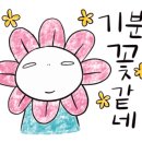 세화여행주 이미지