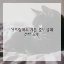 쉽게 배우는 아크릴화 네이버블로그