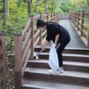 산호동544 이미지