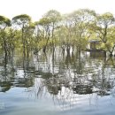 예당호느린호수길 이미지