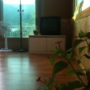 선유동민박 이미지