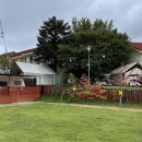 골드펫리조트 이미지