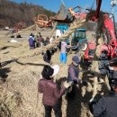 의령큰줄땡기기 이미지