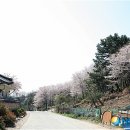 신화1호 이미지