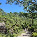 황학산수목원 이미지