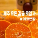 제주로얄유통 | 제주 효돈 감귤 로얄과 솔직 후기_ 에코앤팜 과일도매 위탁판매