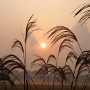 현주삼겹살 이미지