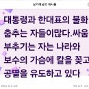 대통령과 한대표의 불화 이미지