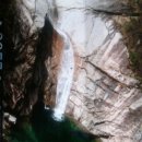 땡칠이네 이미지