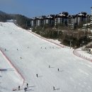 용평스키장 렌탈 이엠스포츠 &amp; 리프트권 할인 내돈내산 후기