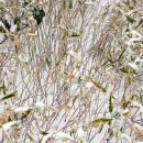 하이퍼메디컬 이미지