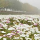 사진이야기 - 제주시 관덕로 36 | 사진이야기