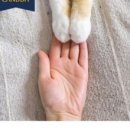 마스터솔루션 이미지