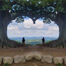 한국인삼공사 고려인삼창 | [부여여행] 부여 당일치기 나들이) 성흥산성 사랑나무 - 롯데아울렛 - 장원막국수 - 정관장