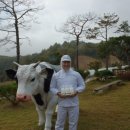 벧엘목장 이미지