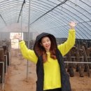 오리오 펜션 이미지