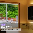 분천2리 | 경북 봉화 산타마을 감성 숙소 독채 영주 강안채