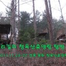 청옥산휴양림 이미지