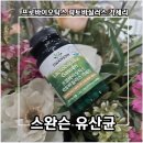 주식회사 합동특수가스 | 스완슨 락토바실러스 가세리로 장 건강 챙기기! 유산균추천
