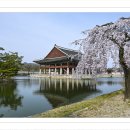 경화루 - 서구 | 경화루