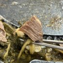 따봉시래기 | 대전 유성 봉명동 부모님 모시고 가기 좋은, 건강 밥상 시래기 차돌쌈 '따봉시래기 본점' 후기