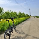 삽교천자전거길 이미지