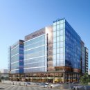 블루웨일 이미지